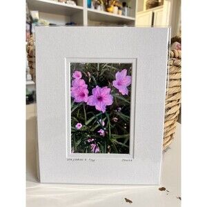 Original Photography 5X7 Picture Double Matted For 8X10 Frame